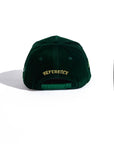 Reference LA Paradise Snapback - Green Velour
