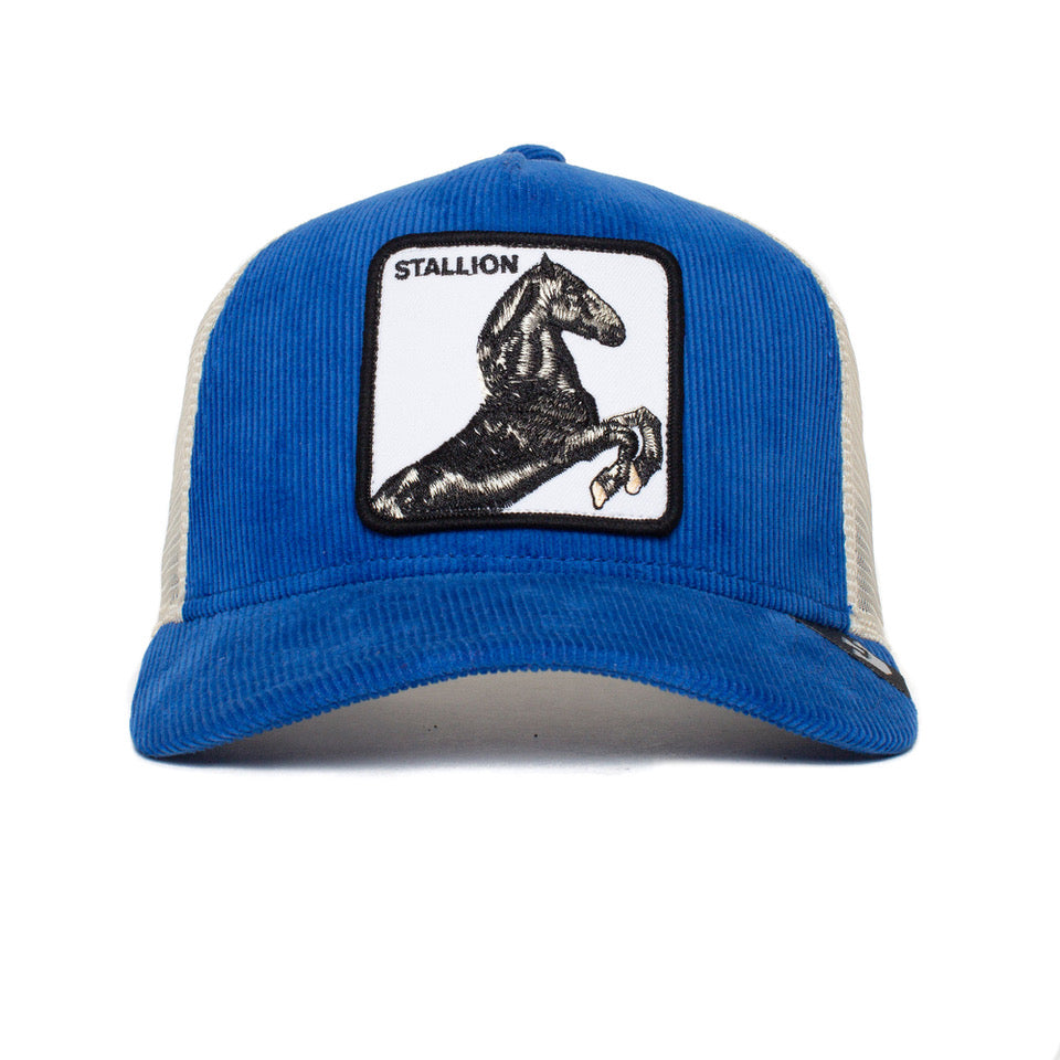 Goorin Bros Sly Stallione Trucker Snapback - Royal