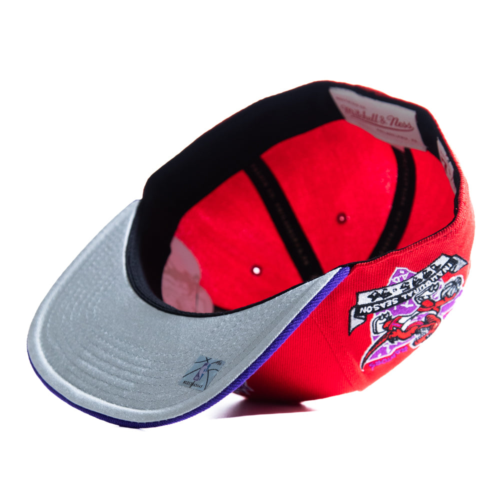 Mitchell & Ness Fitted Cap: Toronto Raptors [Team Side HWC]