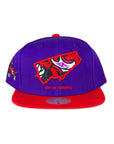 Mitchell & Ness Team Insider Toronto Raptors 2Tone Snapback - Red/Purple