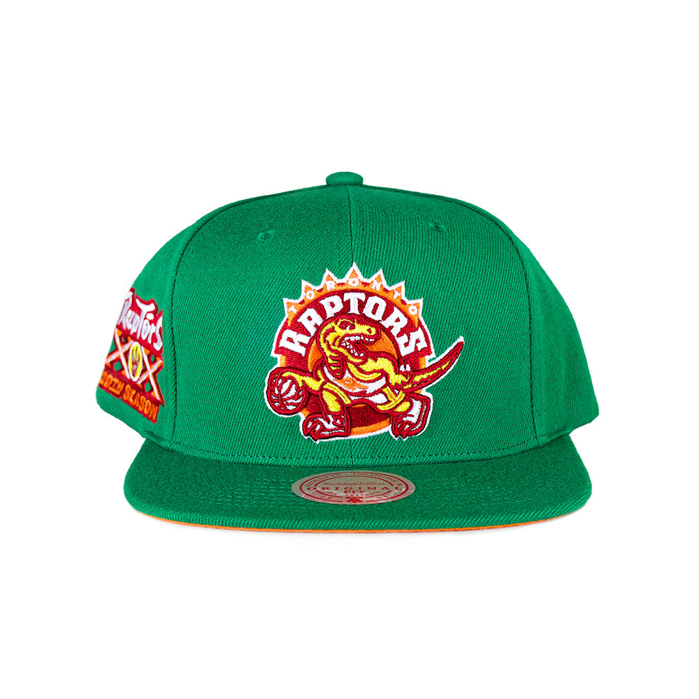 Mitchell & Ness Toronto Raptors Snapback - Green/20 Year Patch