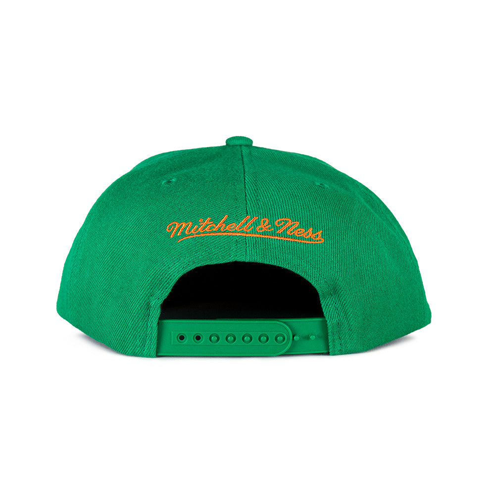 Mitchell & Ness Toronto Raptors Snapback - Green/20 Year Patch