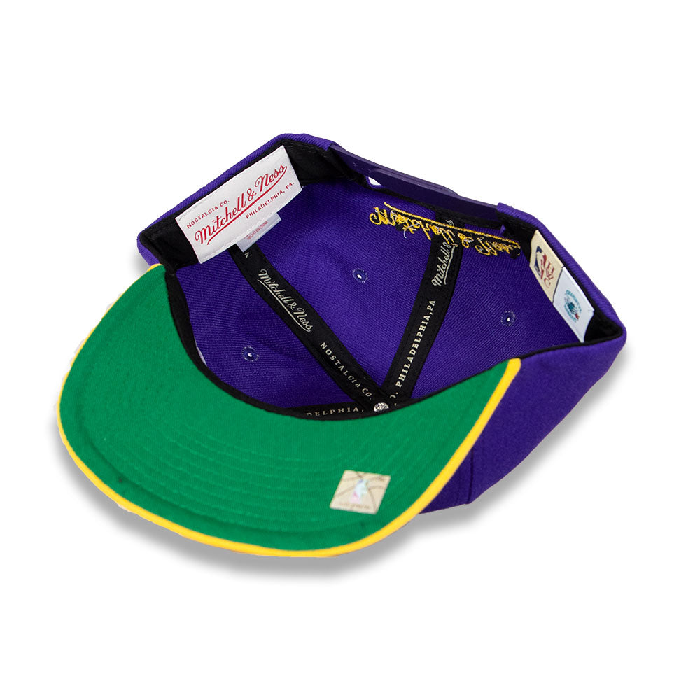 Mitchell & Ness 2Tone Basic Charolette Hornets Snapback - Purple/Yellow/Green