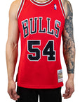 Mitchell & Ness: Hardwood Classic Chicago Bulls Jersey (Horace Grant)